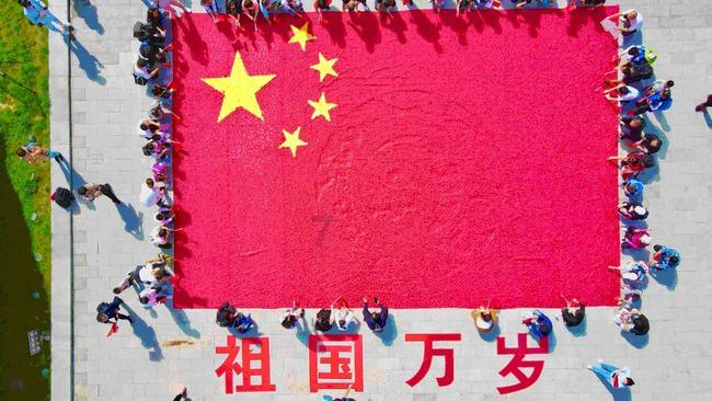 铲车改夯实机是什么,铲车改夯实机型号配置情况